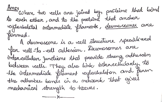 Amse Where two cells are joined by proteins that bind to each other, and to the proteins that anchor cajtoskeletal mtermediat