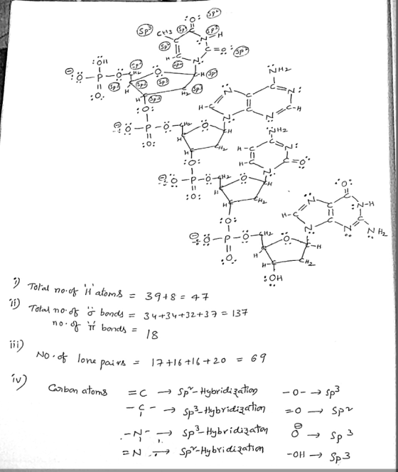 NH H- C-H CH P- 11 H2 H H C H-C :N-H OH Tolal no 39+8-47 11 Total no d o bonds = 34+34+32+37 = 137 mo 18 No d lone paivs 166