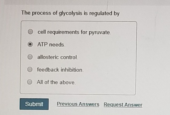 The process of glycolysis is regulated by O cell requirements for pyruvate. O ATP needs. O allosteric control O feedback inhi