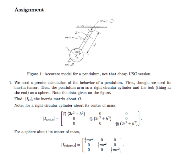 Assignment MRSS Figure 1: Accurate model for a pendulum, not that cheap USC version. 1. We need a precise calculation of the