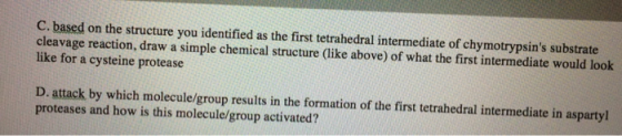 C. based on the structure you identified as the first tetrahedral intermediate of chymotrypsins substrate cleavage reaction,