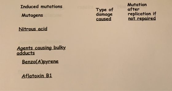 Mutation after replication if not repaired Induced mutations Mutagens Nitrous acid Type of damage caused causing bulky Benzo(