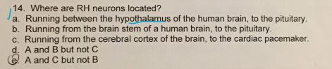 14. Where are RH neurons located? a. Running between the hypothalamus of the human brain, to the pituitary. b. Running from t