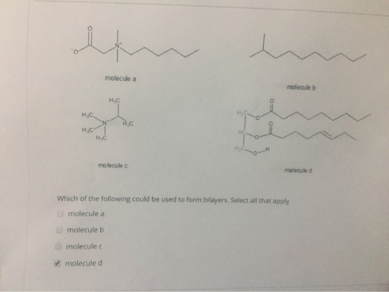 molecule a molecule b H-C H,C. A.c H,C H C molecule c molecule d Which of the following could be used to form bilayers. Selec