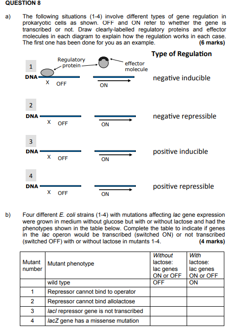 QUESTION 8 The following situations (1-4) involve different types of gene regulation in prokaryotic cells as shown. OFF and O