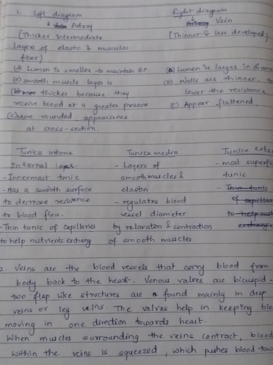 eun LThinner&lese devel ickes intumedsate iber) i n en ts c malles tr mariotain BP Nalls ase thinner a) smoott mwde layer ts