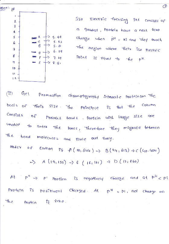 Ss0 乞tectic -focusina get cons sts of a Jxcdest , PSotein have a neit 2cao 4 빼A 5.41 -F -) 7 29 Point s tQual t he P Ge Pesme