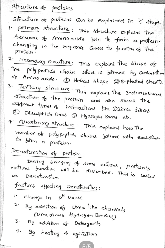 structure σ& proteins sfructure s proteins Gan be explained n steps Sequente Amino auds join to -form a pvotein- 1、 primar, s