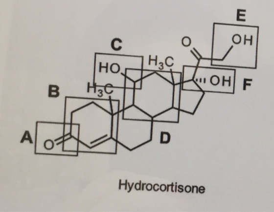 OH C H3C HO OH F H2c B D A Hydrocortisone