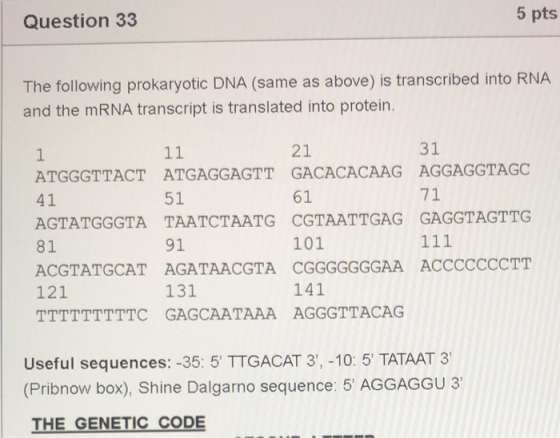 5 pts Question 33 The following prokaryotic DNA (same as above) is transcribed into RNA and the MRNA transcript is translated