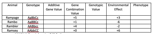 Animal Additive Phenotype Genotype Gene Genotypic Environmental Gene Value Combination Value Effect Value Rampage AaBbCc AaBB