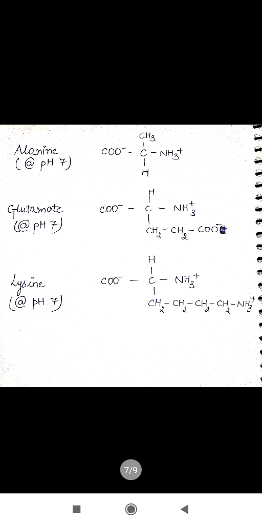 CH3 Alanime PH ) COO H NH Glustamate COO C CHCHCOO H 1 생ine C CH-CH-CHCH-N 7/9