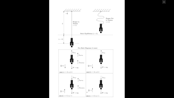 Bungee Not in Tension Bungee in Tension Statie Eluilibrium (-L) Free Body Diagrams (4 cases) irag spring : 훑(+) drag drag pri