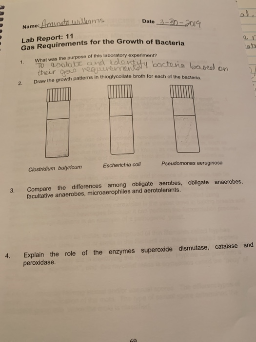 Date _2-20-20 Name: Lab Report: 11 Gas Requirements for the Growth of Bacteria 1 What was the purpose of this laboratory expe