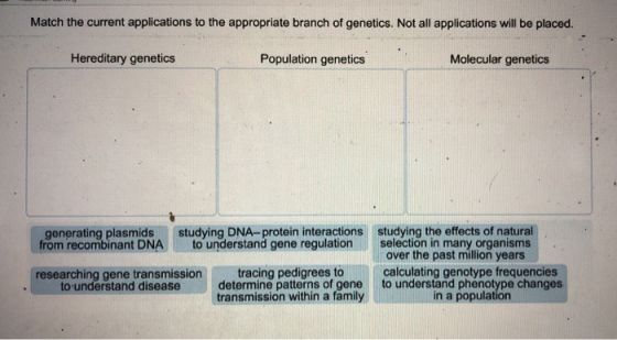 Match the current applications to the appropriate branch of genetics. Not all applications will be placed. Hereditary genetic