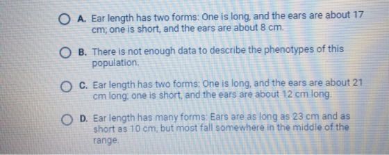 O A. Ear length has two forms: One is long, and the ears are about 17 cm; one is short, and the ears are about 8 cm. B. There