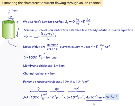 Estimating the characteristic current flowing through an ion channel out We use Ficks Law for the flux: J,--p3C D A linear p