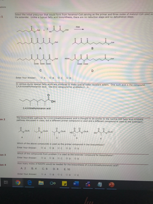 Select the initial precursor that would form from hexanoyl-CoA serving as the primer and three moles of malony-COA used as th