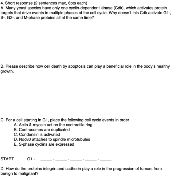 4. Short response (2 sentences max, 6pts each) A. Many yeast species have only one cyclin-dependent kinase (Cdk), which activ