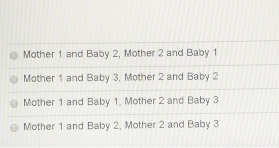 Mother 1 and Baby 2, Mother 2 and Baby 1 Mother 1 and Baby 3, Mother 2 and Baby 2 Mother 1 and Baby 1, Mother 2 and Baby 3 Mo