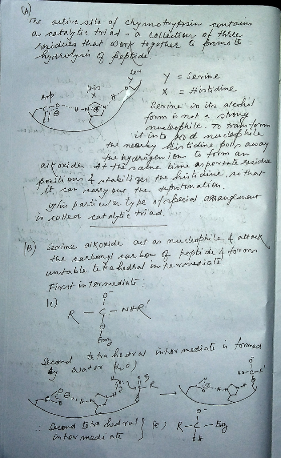 W The ative i of chynnorypain centams cataly te tri ada collection of thhee hniduia that o ant tgetheん a Sevie X = #intidine