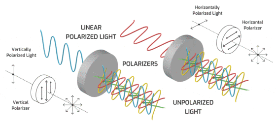 Horizontally Polarized Light Horizontal Polarizer LINEAR POLARIZED LIGHT Vertically Polarized Light V POLARIZERS UNPOLARIZED