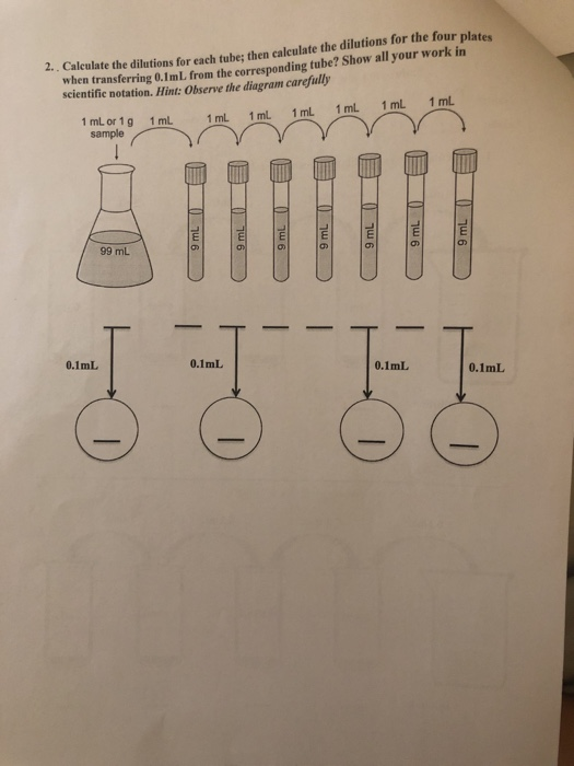 when transferring 0.1mL from the corresponding tube? Show all your work in scientifie notation. Hint: Observe the diagram car