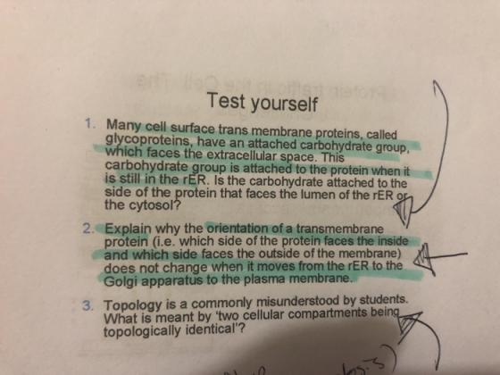 Test yourself Many cell surface trans membrane proteins, called glycoproteins, have an attached carbohydrate group, 1. ich fa