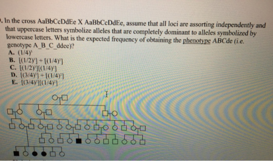 In the cross AaBbCcDdEe X AaBbCcDdEe, assume that all loci are assorting independently and that uppercase letters symbolize a