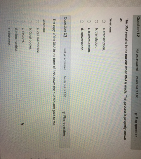 Question 12 Not yet answered Points out of 1.00 P Flag question The DNA remains in the nucleus when RNA is made. That process