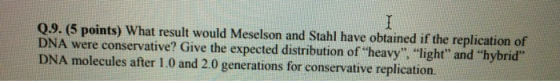 I Q.9. (5 points) What result would Meselson and Stahl have obtained if the replication of DNA were conservative? Give the ex