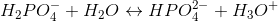 H_{2}PO_{4}^{-}+H_{2}O \leftrightarrow HPO_{4}^{2-}+H_{3}O^{+}