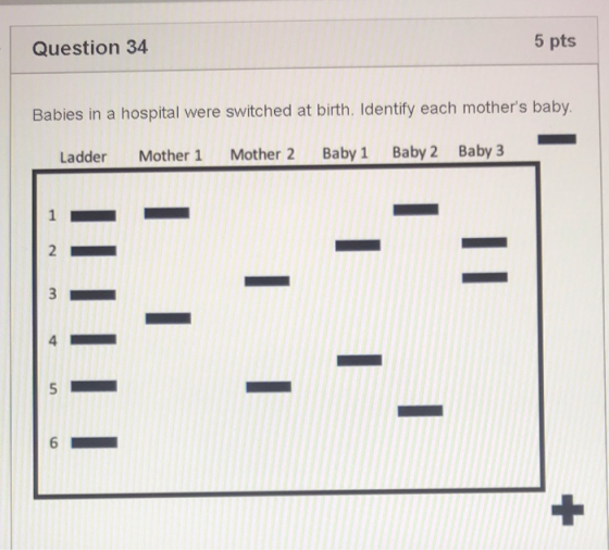 5 pts Question 34 Babies in a hospital were switched at birth. Identify each mothers baby Baby 2 Baby 3 Baby 1 Mother 2 Moth