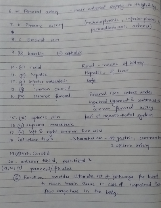 m femo ral ater msc ule ph reniTnfeator phren て、t: Phnnic aten pericaudioph aente artene Ta b) basi Lc cephalic Renal - means