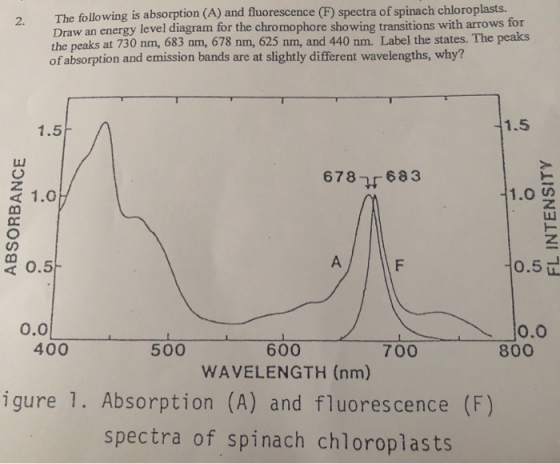 The following is absorption (A) and fluorescence (F) spectra of spinach chloroplasts. Draw an energy level diagram for the ch