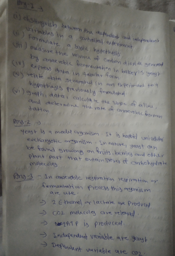 phnl 艹0 +_cmtaj n Ste)-cjof.curbohy-//7H Pa什 2 Ethanol or lactate che prod vtey coz mob.coley are relesu →工ndspendeutvanable.
