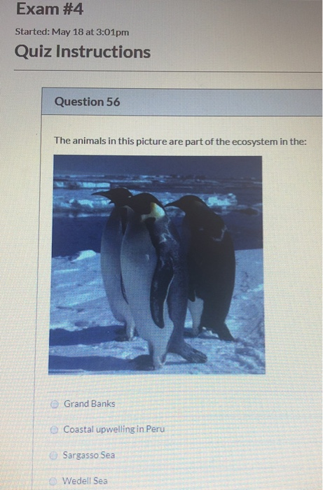 Exam #4 Started: May 18 at 3:01pm Quiz Instructions Question 56 The animals in this picture are part of the ecosystem in the: