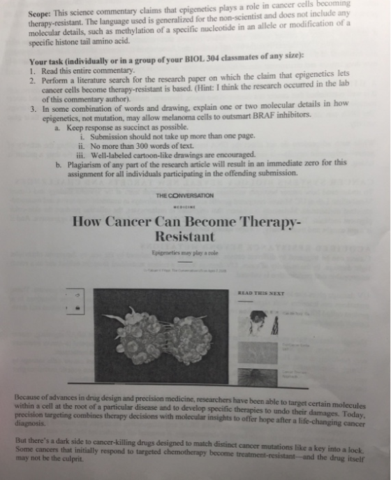 Seope: This science commentary claims that epigeneties plays a role in cancer cells becoming therapy-resistant. The language