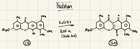 Oxidahun One me Me OMe Ome Meo ALOH (Aucti Anid) Med OH Me