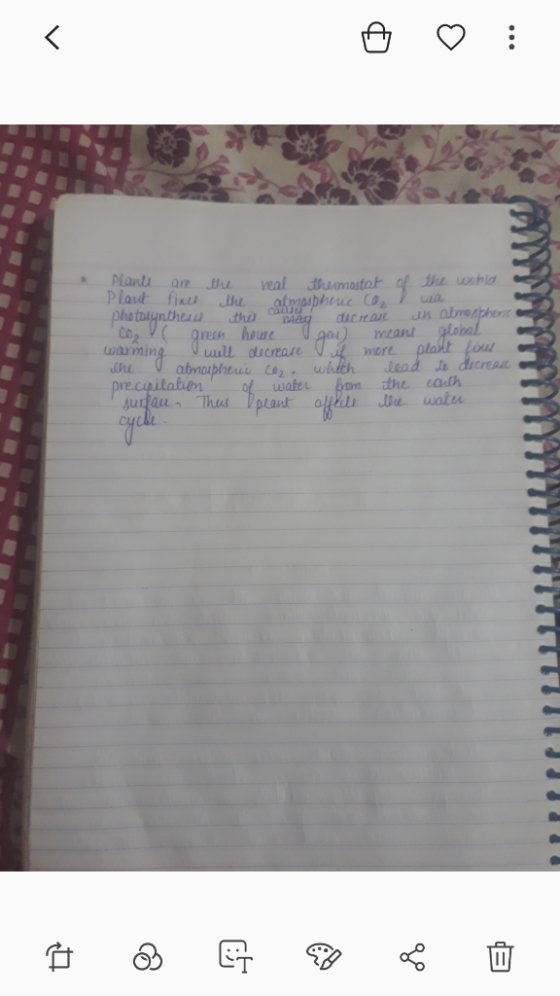 Plant Plait fix Photoynthes Coz V green hoae waming the wohld veal reamostat are natmespher decrea glabal mean plaht firue Le
