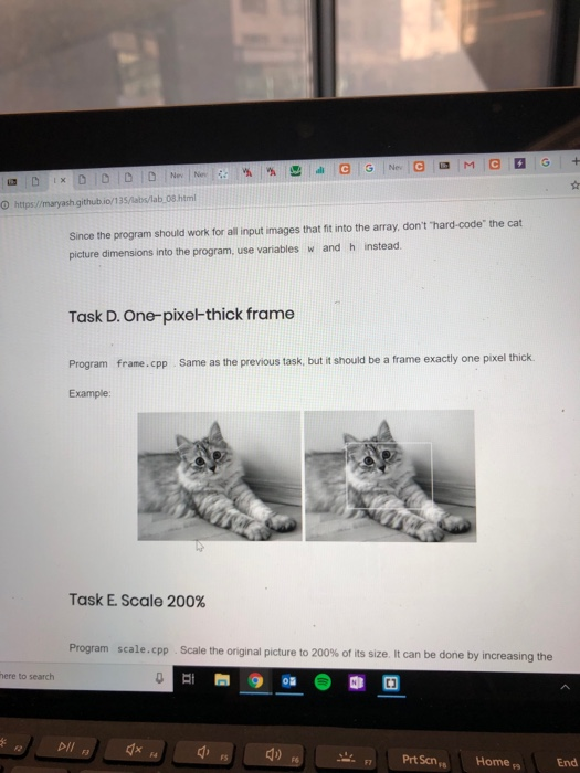 O https//maryash.github.io/135/labs/lab 08 html Since the program should work for all input images that fit into the array, d