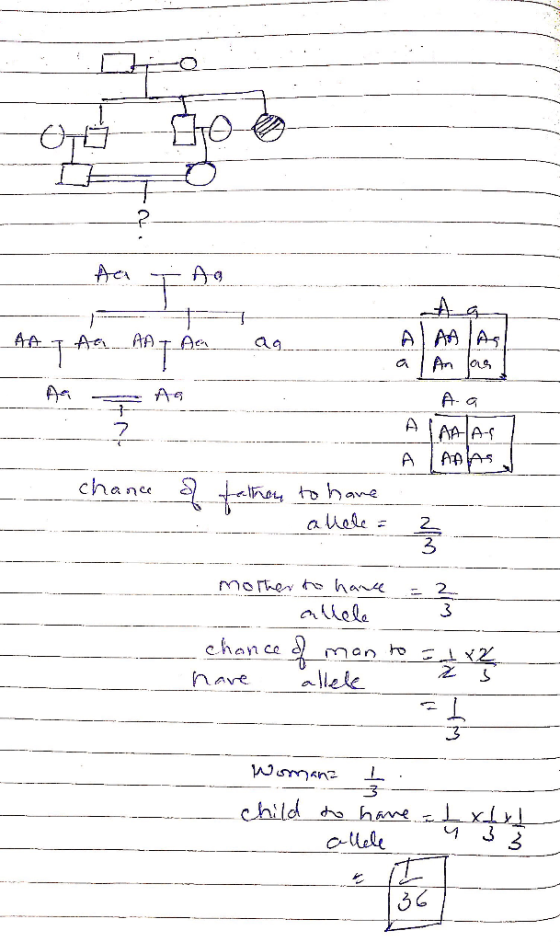 allele # 2- 3 allela Chan co manん Z S navealek 3