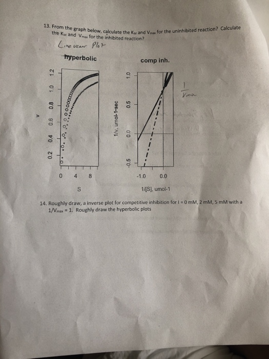 13. From the graph below, calculate the Ku and V for the uninhibited reaction? Calculate the Ku and V-w for the inhibited rea