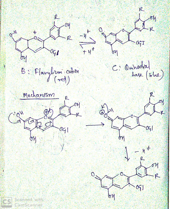 0-H C: 0uhee hase B wrm catan (she) Medansm 041 CS Scanned with CammScanner