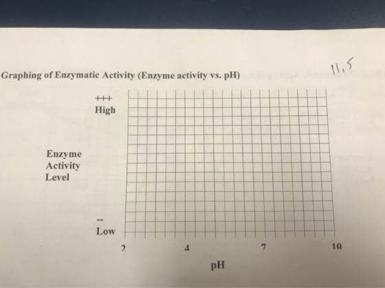 Graphing of Enzymatic Activity (Enzyme activity vs. pH) High Enzyme Activity Level Low 10 4. pH