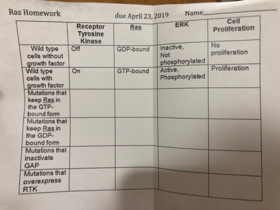 Ras Homework Namea due April 23, 2019 Cell Proliferation ReceptorRas ERK Tyrosine Kinase Wild type Off cells without growth f