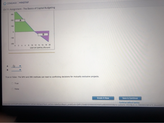 CENGAGE MINDTAP Ch 11: Assignment- The Basics of Capital Budgeting 300 200 A 100 0 B -100 -200 0 24 6 810 12 14 16 18 20 COST