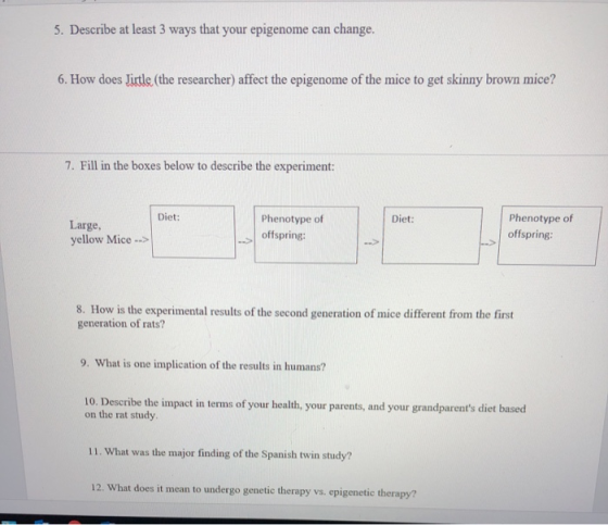 5. Describe at least 3 ways that your epigenome can change. 6. How does Jirtle (the researcher) affect the epigenome of the m