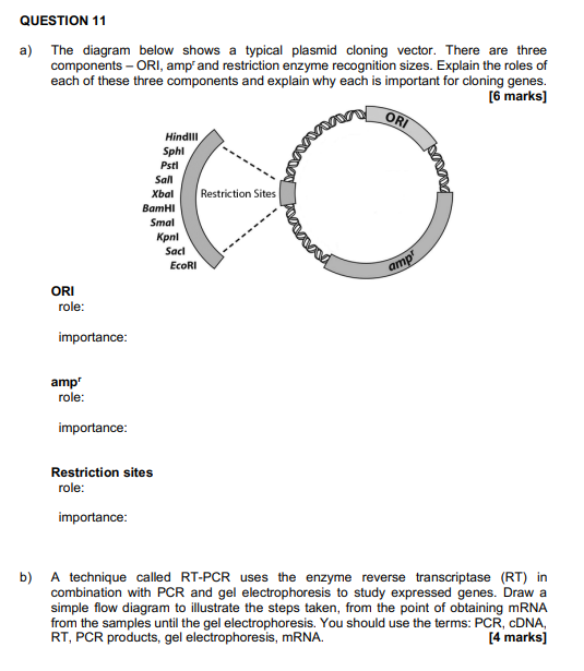 QUESTION 11 a) The diagram below shows a typical plasmid cloning vector. There are three components ORI, amp and restriction