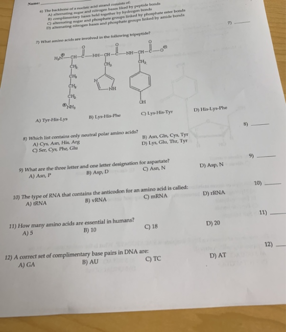 Namer A) alternating sugar and nitrogen bases liked by peptide bonds B) complimentary bases held together by hydrogen bonds 6